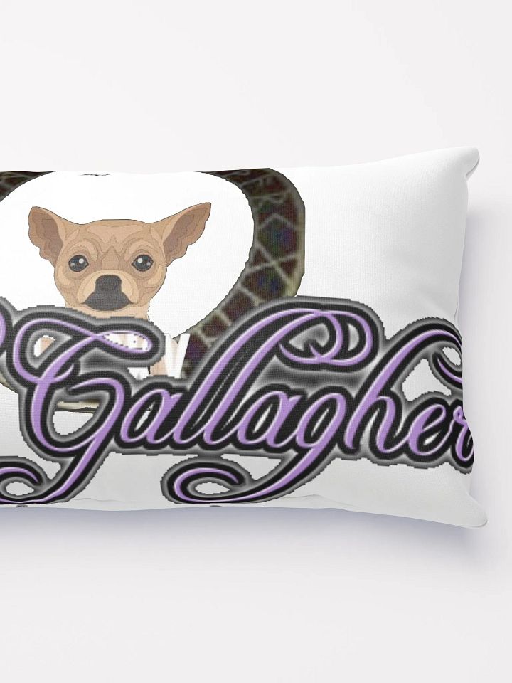 Seal Of rg93/ Lucky Bear Pillow product image (2)