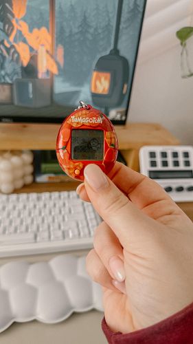 I love caring for my Tamagotchi character on the go and the Original Tamagotchi is the perfect accessory. I love the apple de...