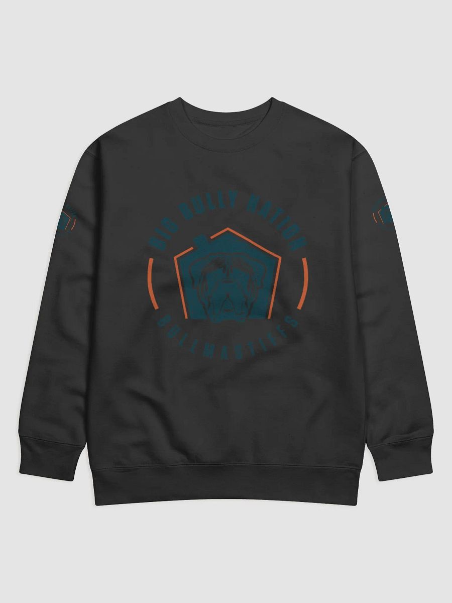 BBN Logo 2 Premium Sweatshirt product image (3)