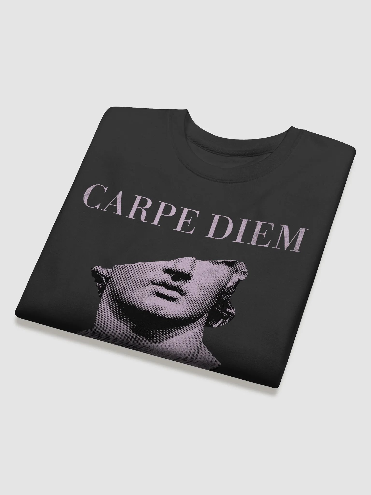 Carpe Diem Statue Sweatshirt product image (3)