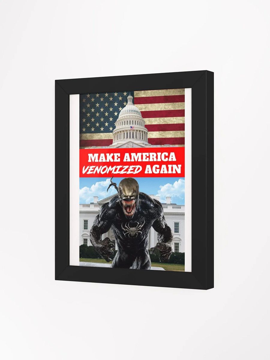 MAVA U.S. Capitol Poster product image (41)