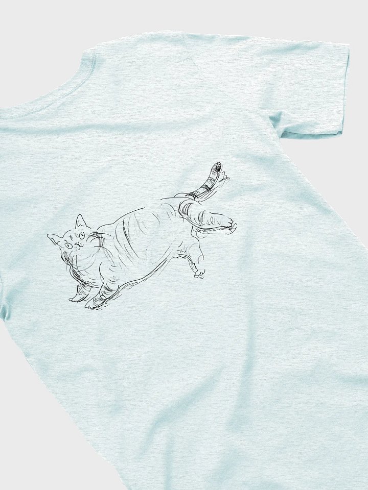Double Trouble Tabby product image (2)