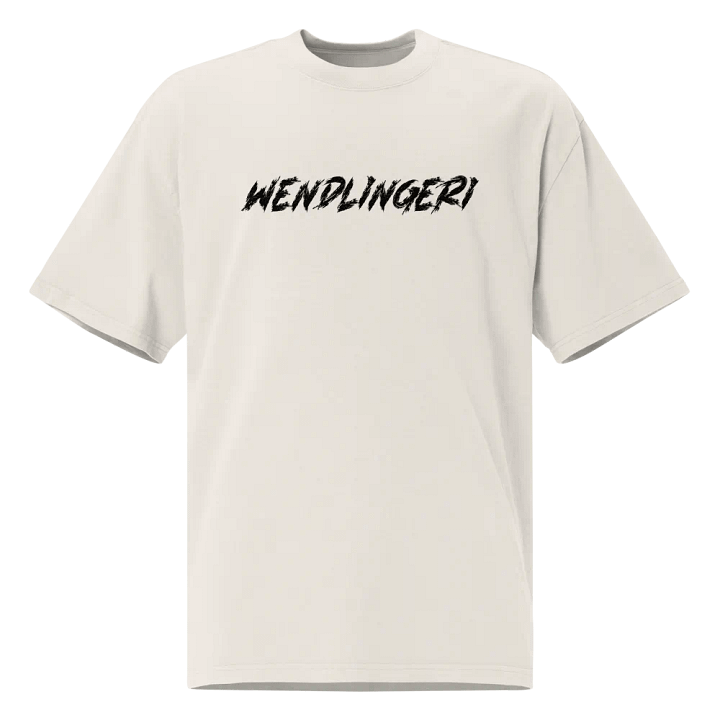 WENDLINGERI 🌀 oversized tee product image (1)