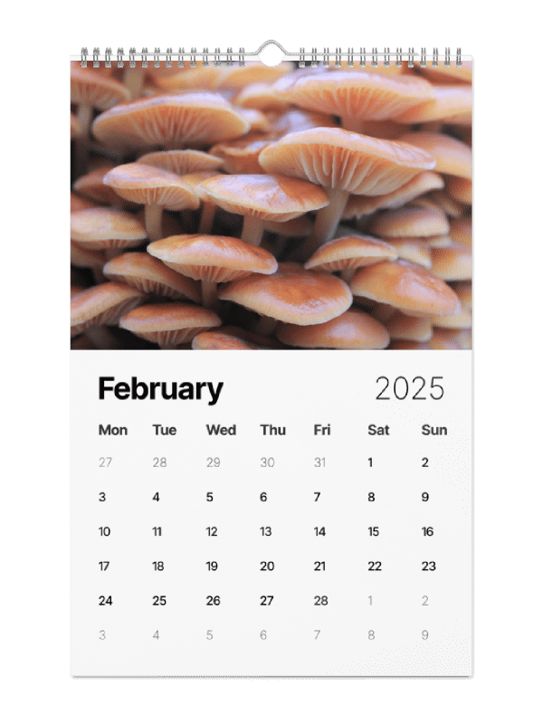 Fungi Calendar 2025 product image (2)