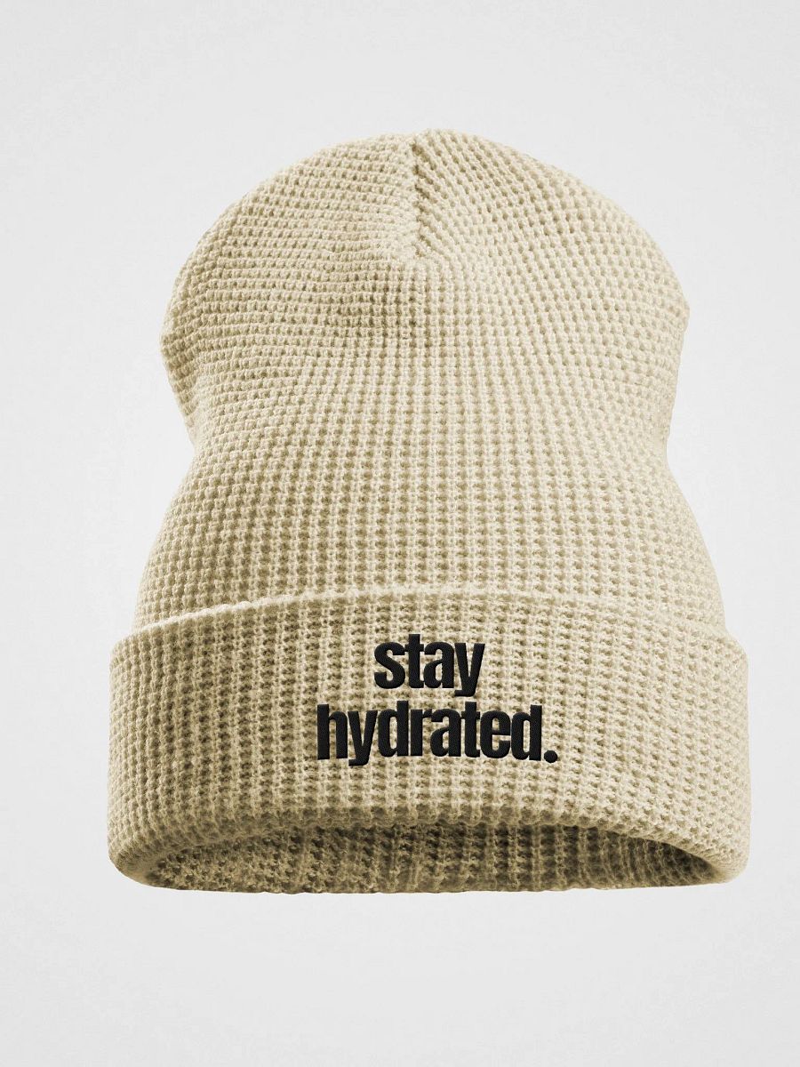 Stay Hydrated Beanie product image (1)