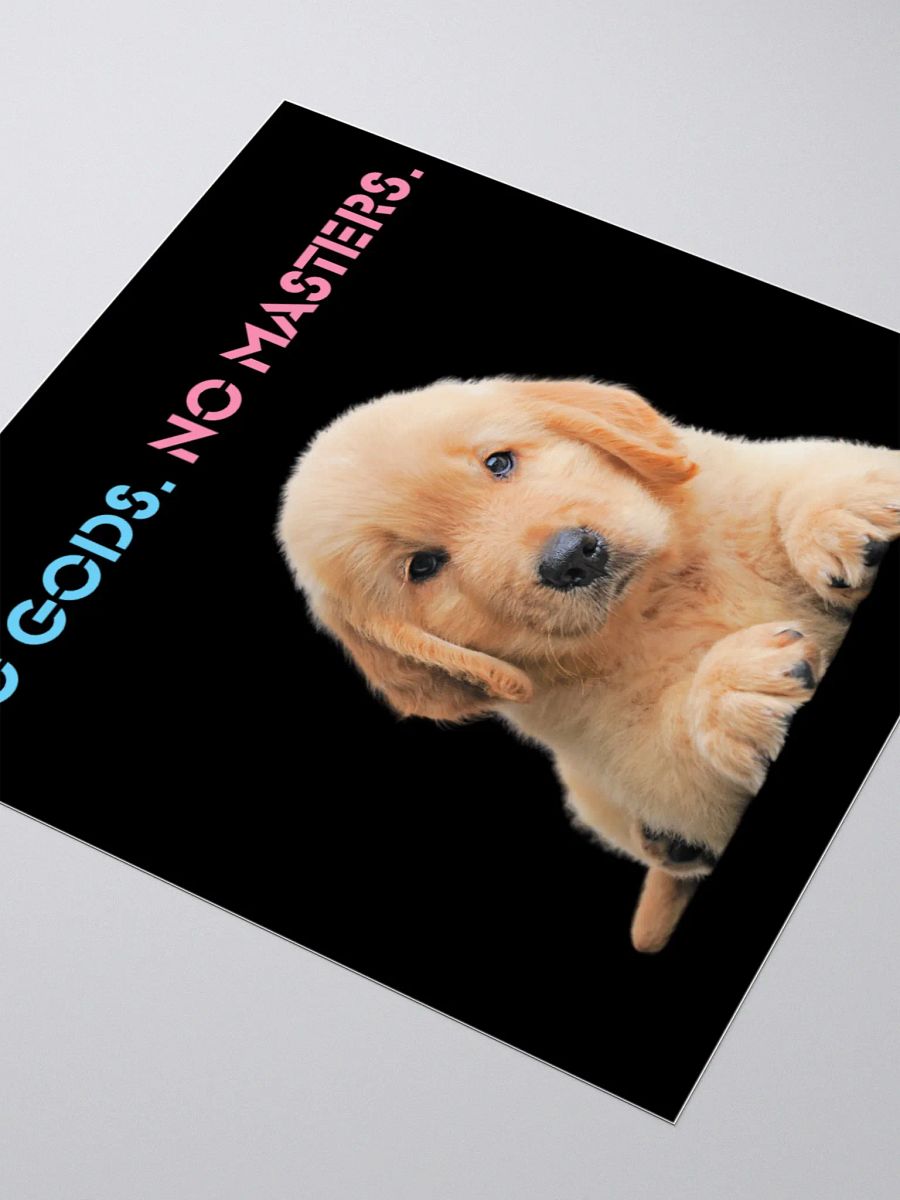 No Gods No Masters - Black Sticker product image (9)