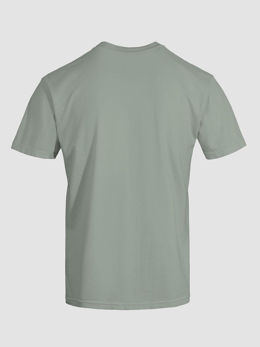 It's Not Just a Phase- Lesbian T Shirt product image (54)