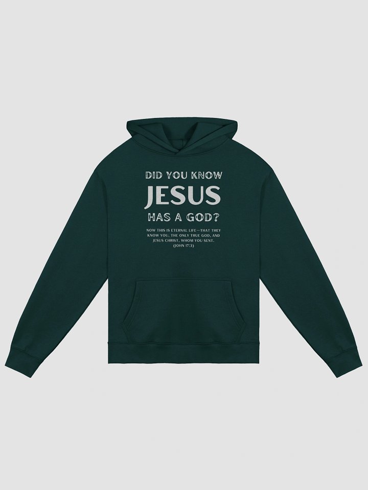 Jesus Has a God Premium Oversized Hoodie product image (1)