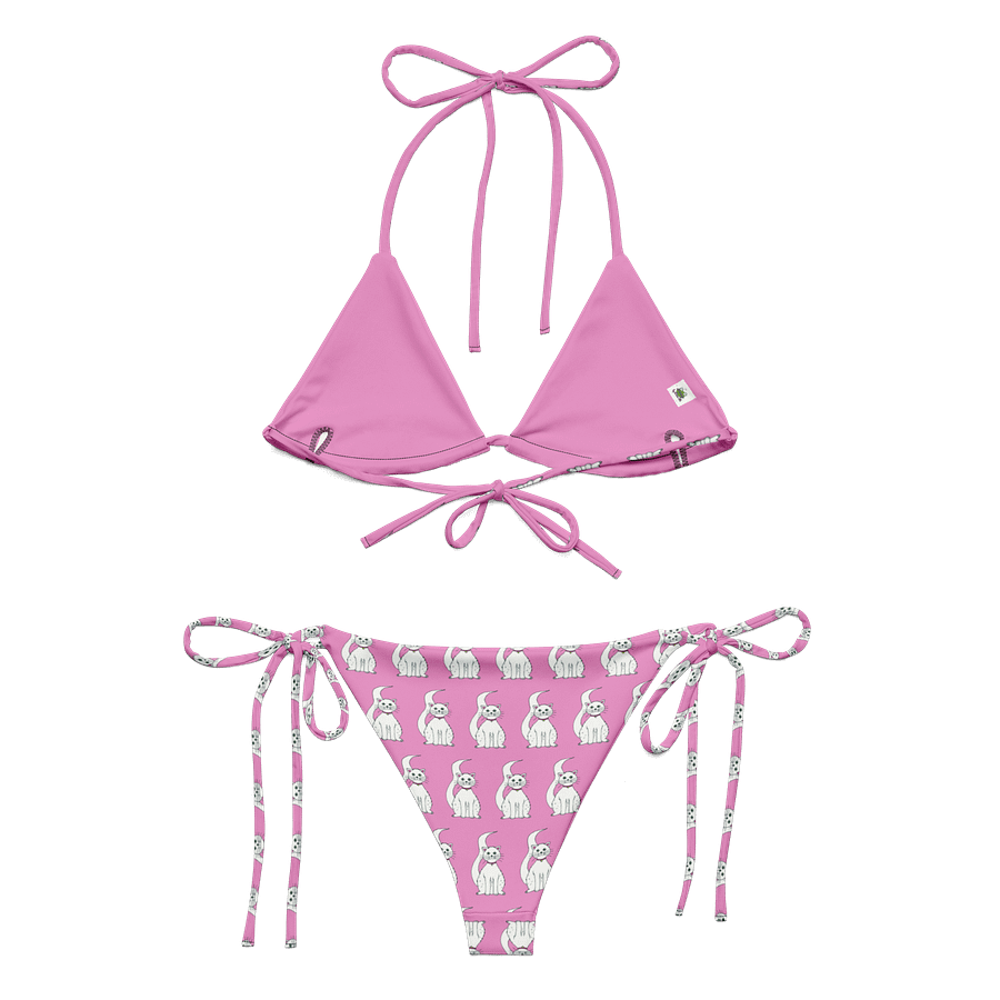 White Cat (art by Dina R.) akril painting picture - String Bikini product image (11)