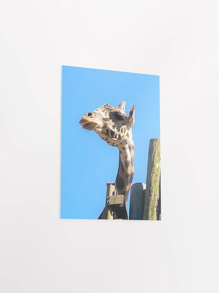 Giraffe Close Up product image (22)