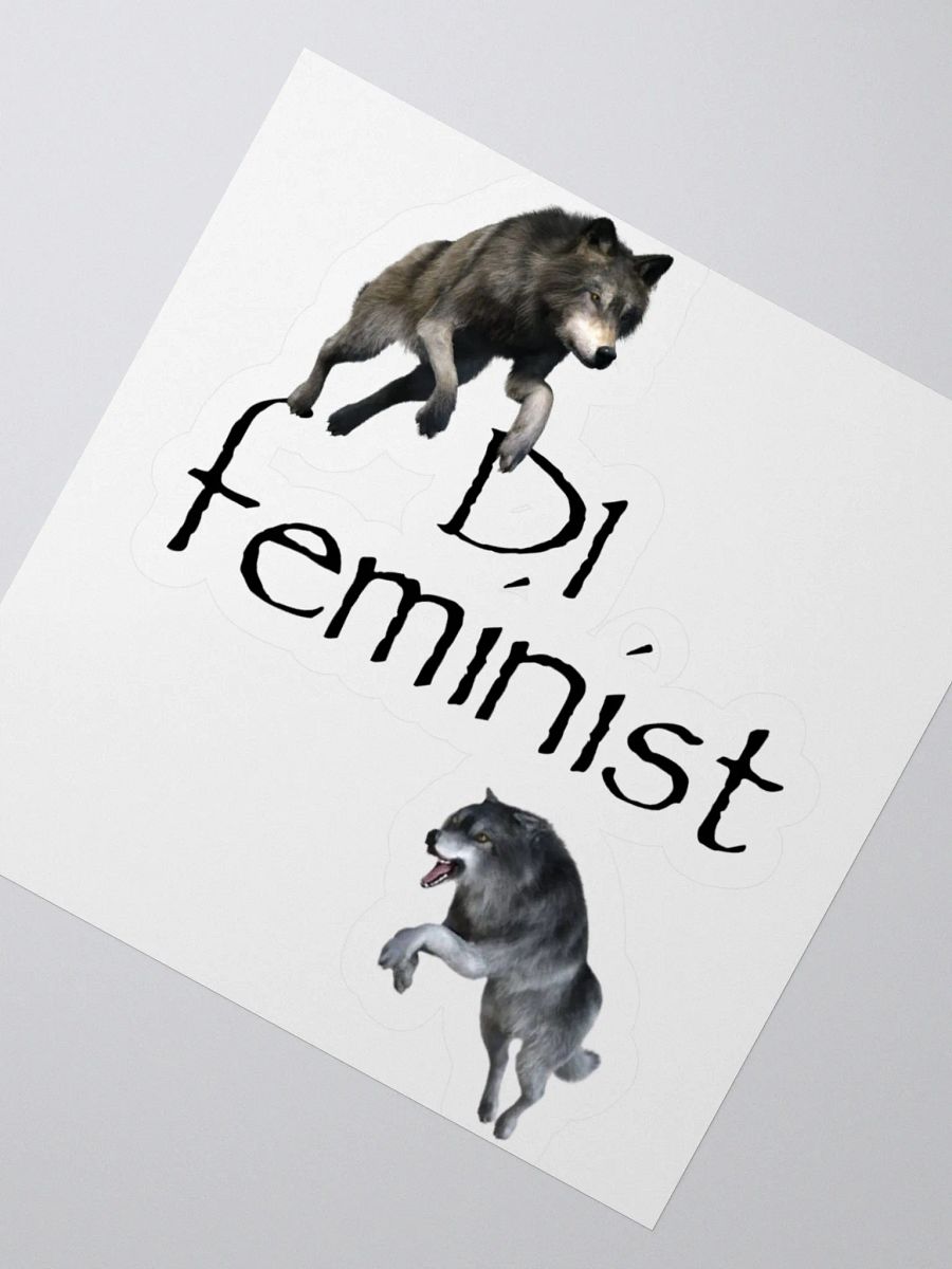 D1 Feminist Stickers product image (8)