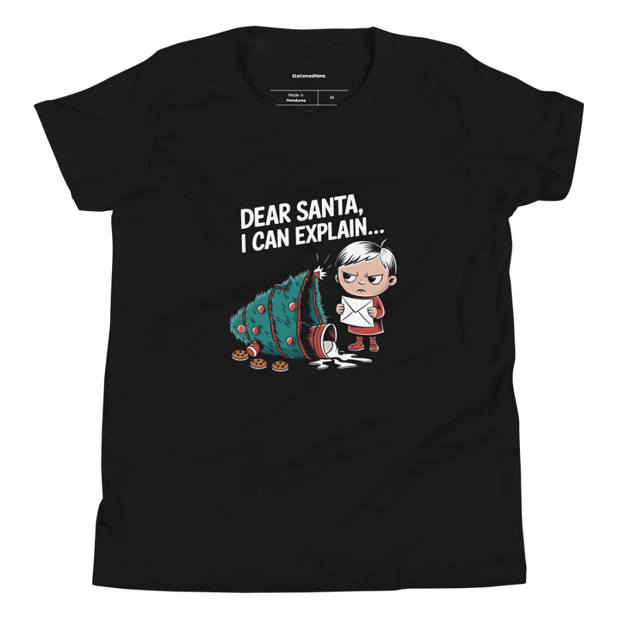 Dear Santa, I can explain... product image (8)