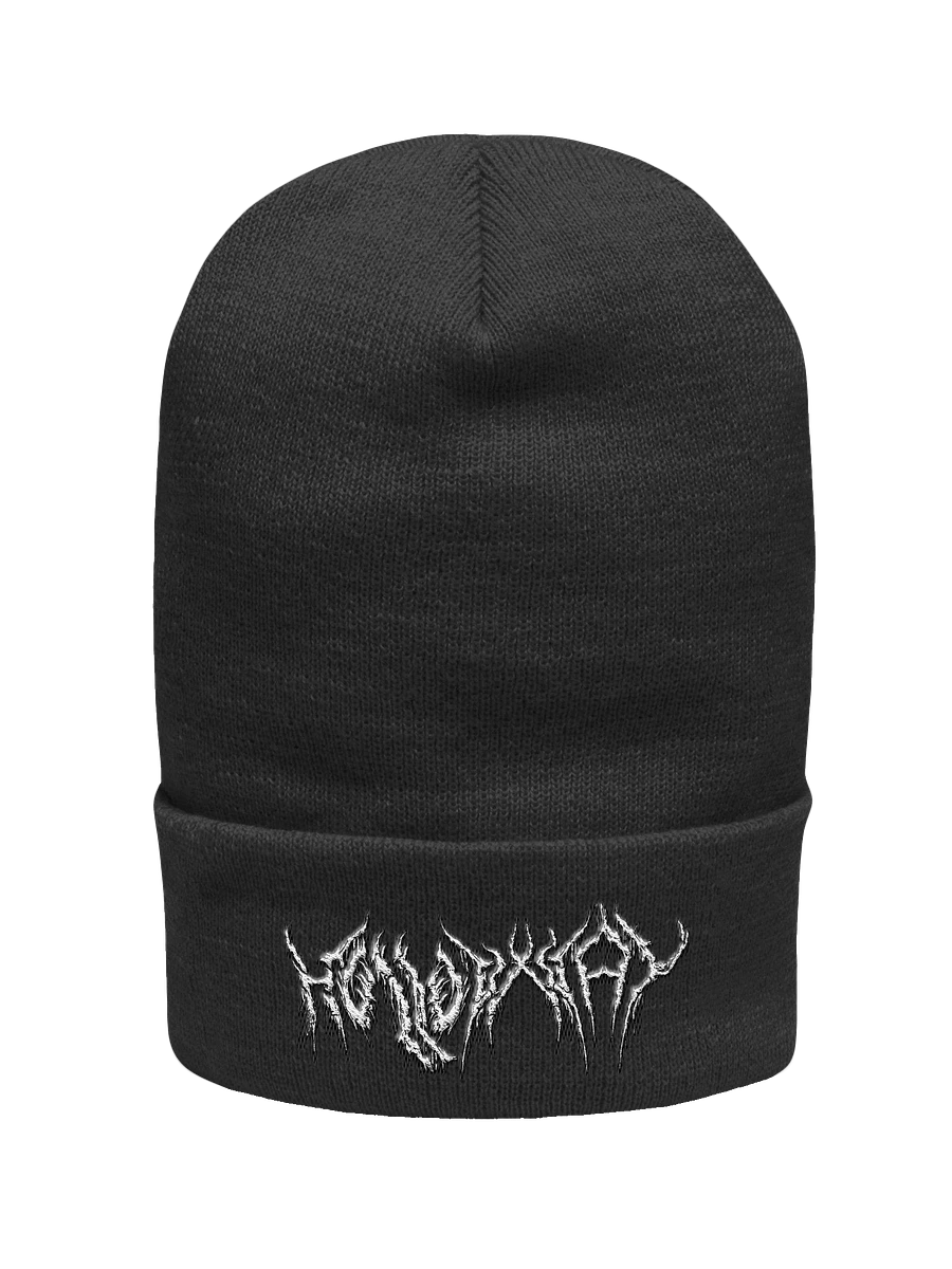 HOLLOWxWAY Cuffed Beanie product image (1)