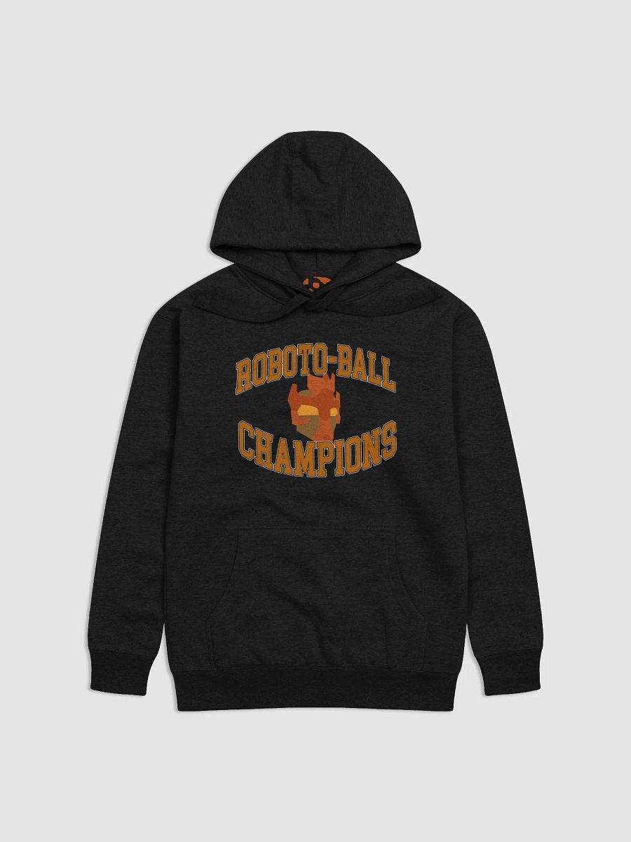Roboto-Ball Champions Hoodie product image (1)