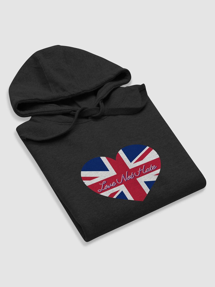 Love Not Hate Hoodie product image (38)