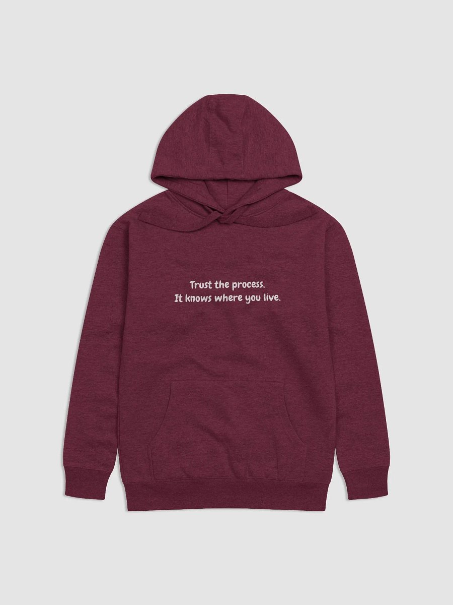 Trust the process hoodie product image (1)