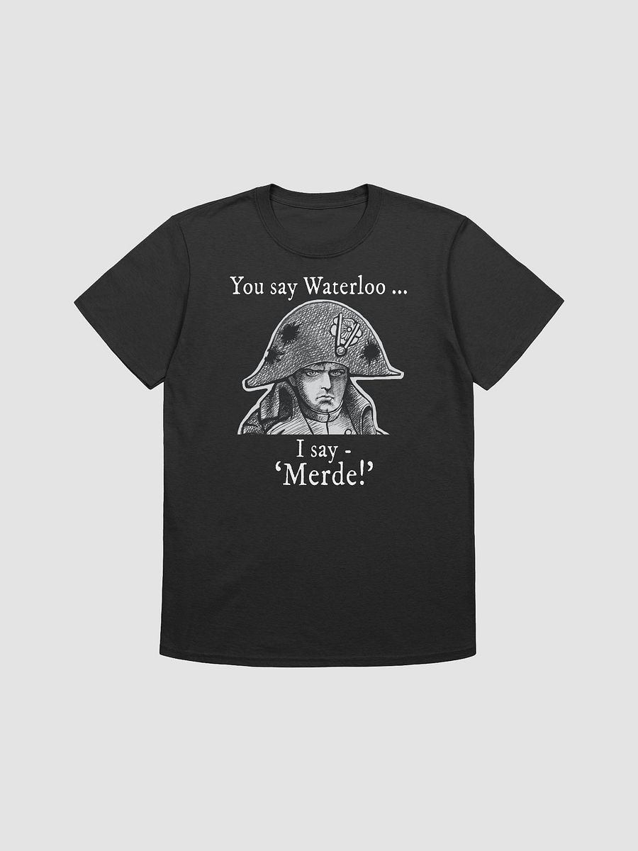 Napoleon's Waterloo: funny history T-shirt product image (11)