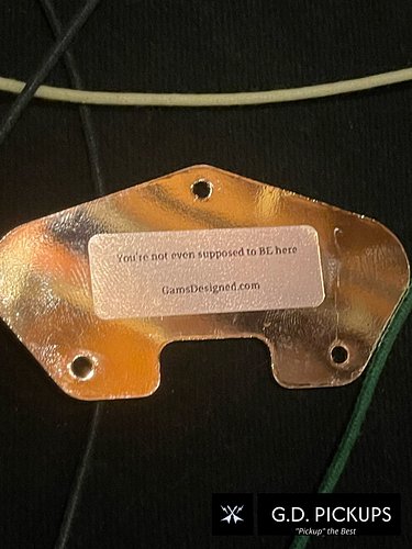 Not just humbuckers 👀

A little reminder — GD Pickups isn’t just about big, bold humbuckers. I also build custom single coil ...