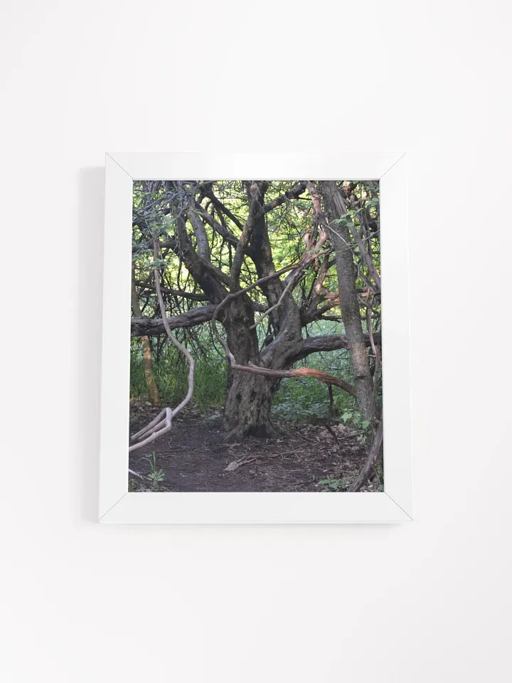 Tree of Branches High Quality Poster product image (1)