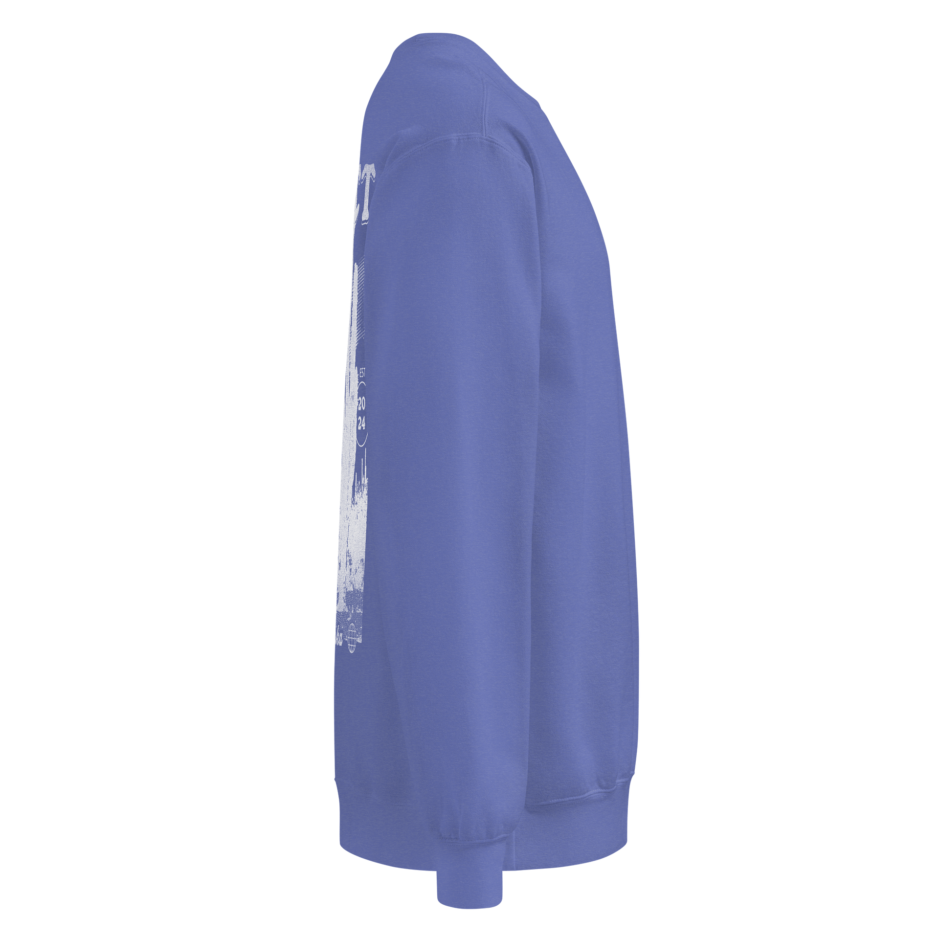 Cactus Crewneck product image (4)