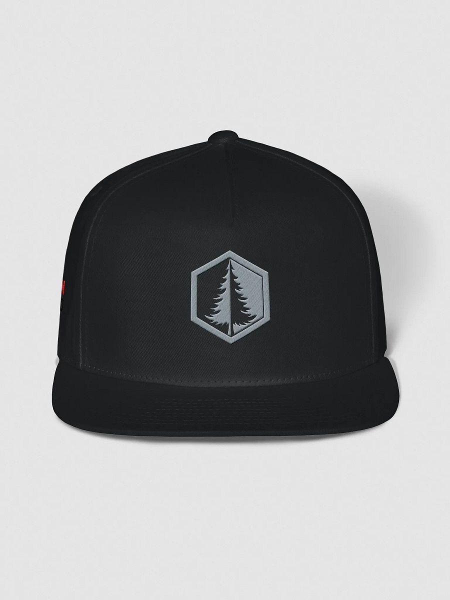 Snap Back (Grey Logo) product image (6)