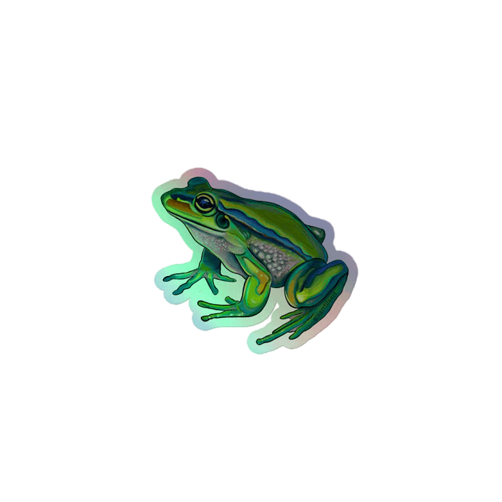 frog sticker product image (1)