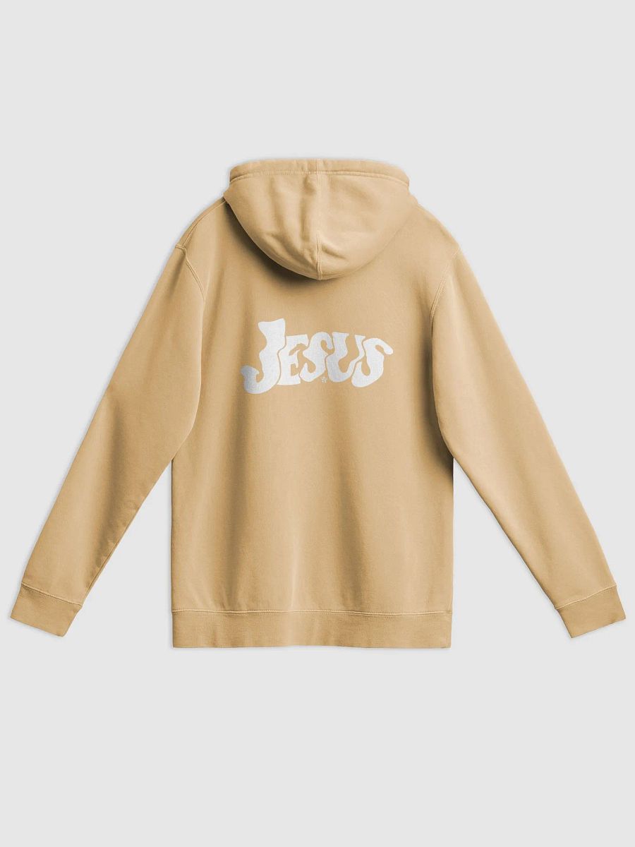 AAN Premium Cozy Hoodie product image (3)