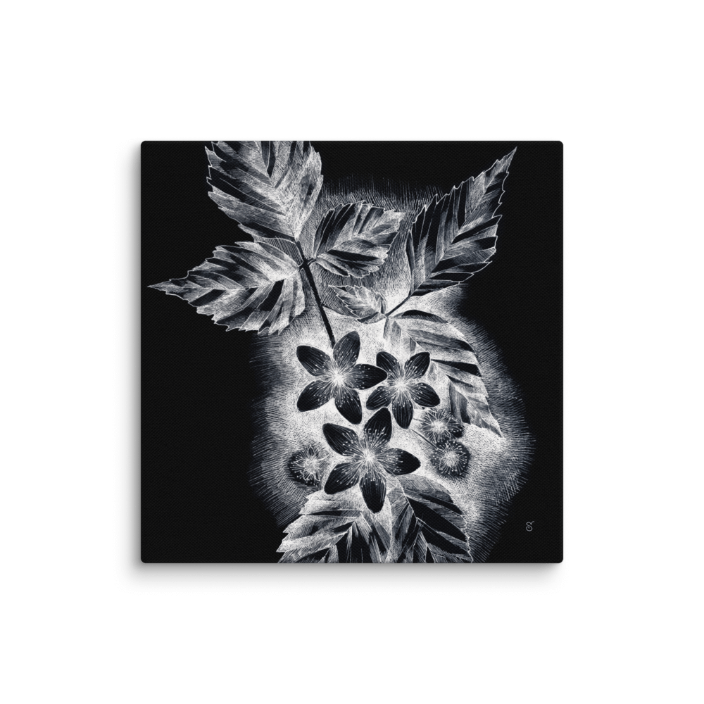 Blank Canvas Collection - JDark asmine product image (1)