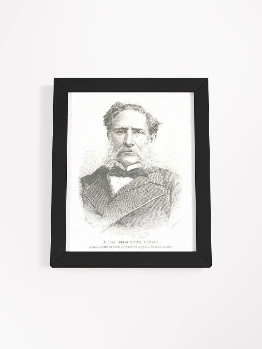Cuadro - José Julián Acosta y Calvo: Diputado Provincia de Puerto Rico product image (1)