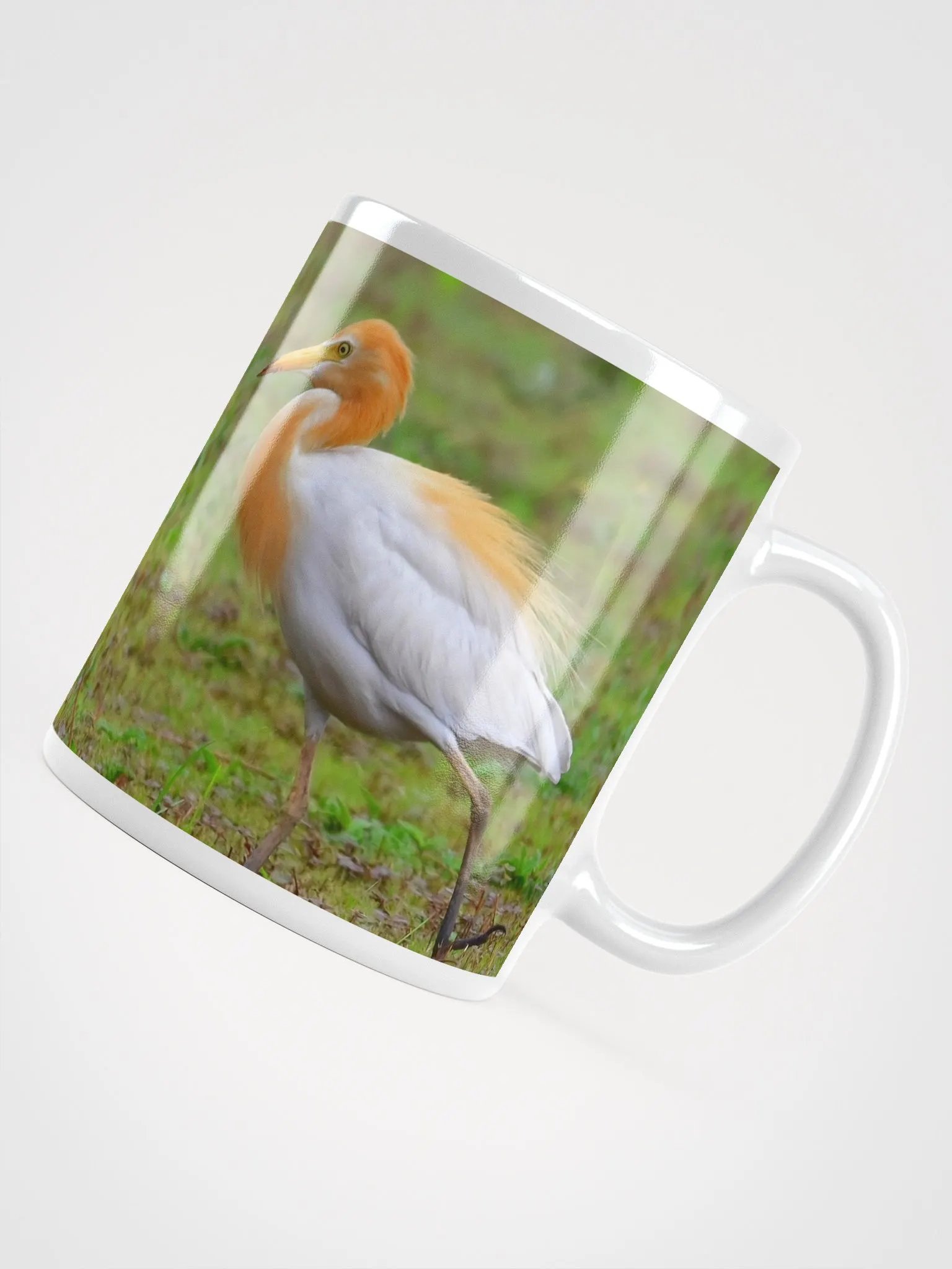 IUCAA Birds MUG product image (4)