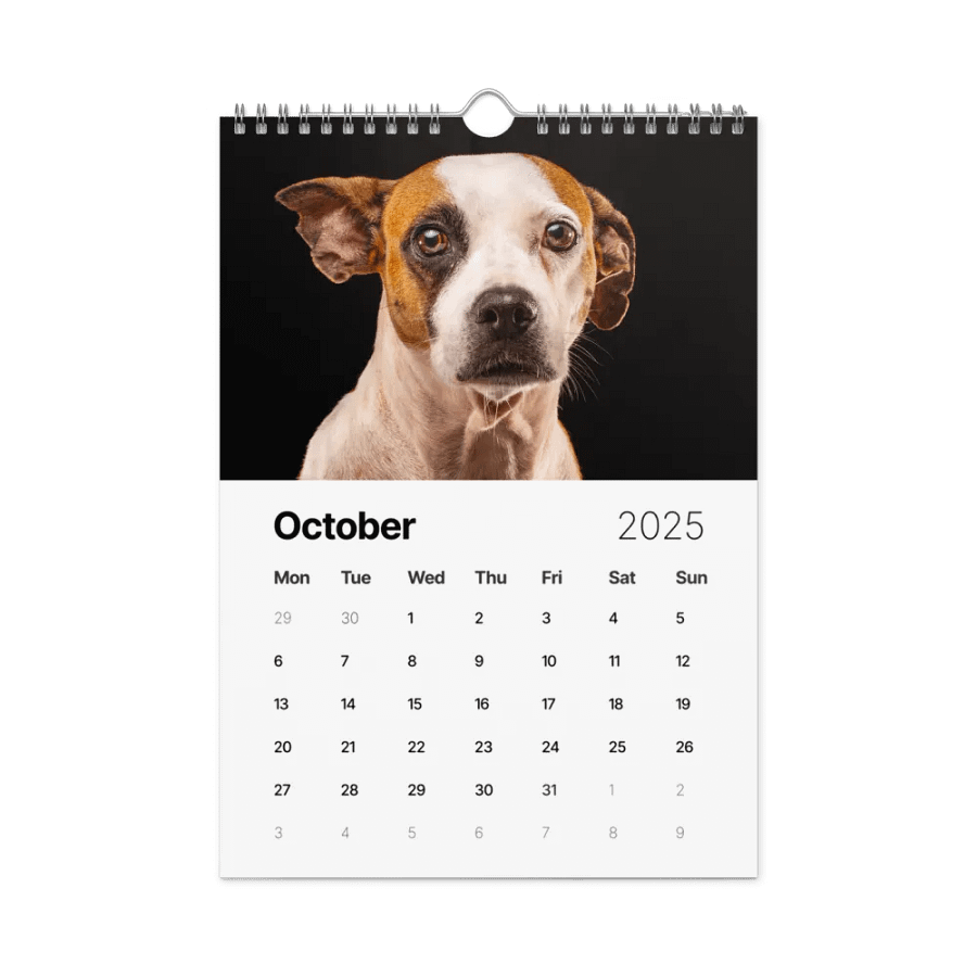 The first year - 2025 Calendar product image (10)