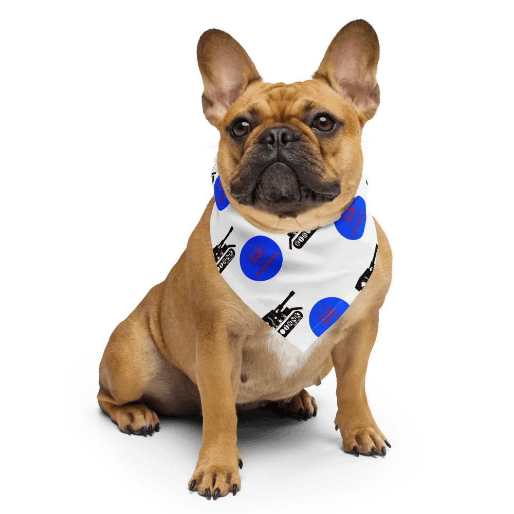 Coolmankyle X BigTank Games Bandana product image (3)