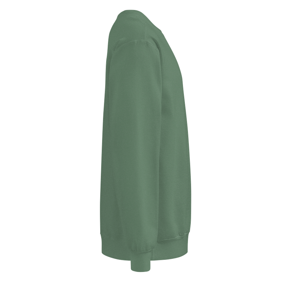 Made In Hungary Green Embroidered Sweatshirt product image (4)