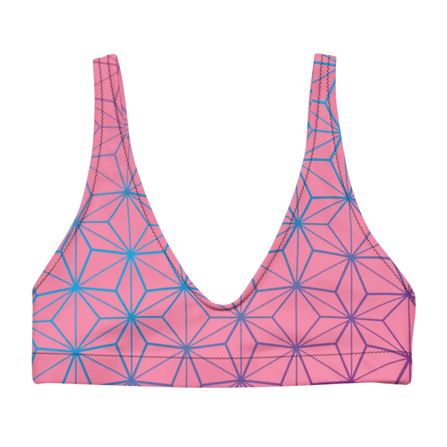 Nezzy Padded Bikini Top product image (1)