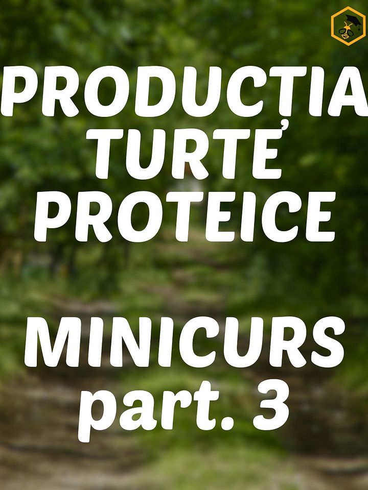 Part. 3 - Secretele Turtelor Proteice product image (1)