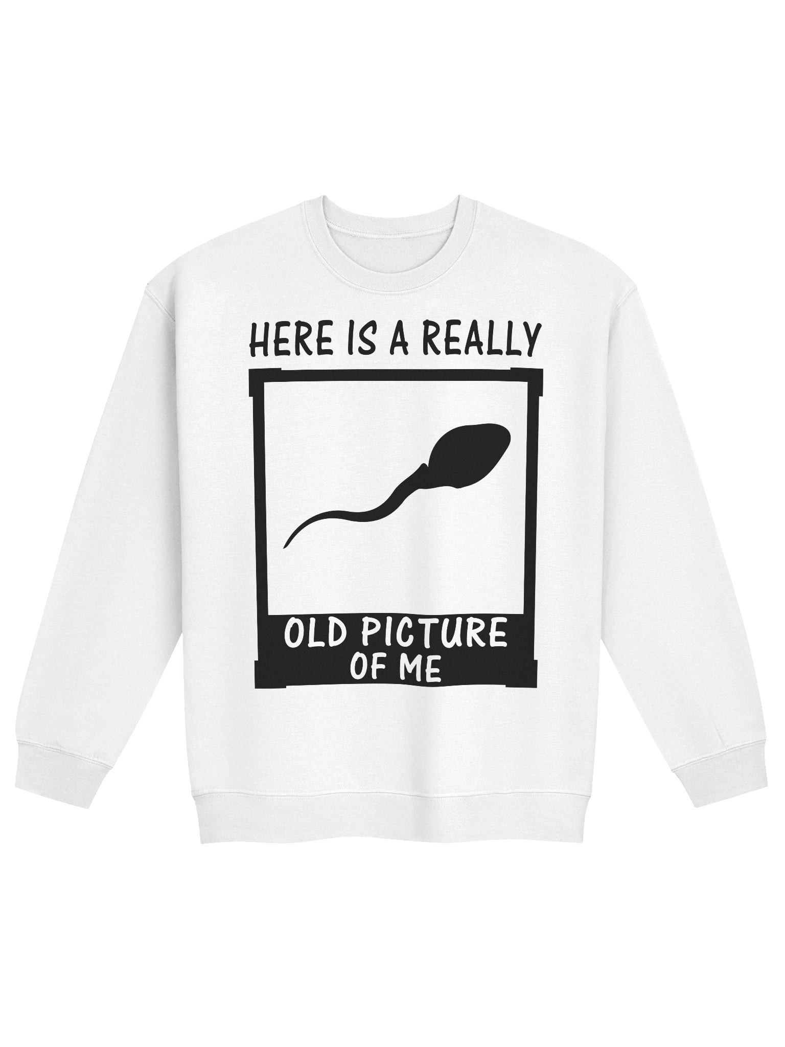 Here Is A Really Old Picture Of Me Sweatshirt product image (1)
