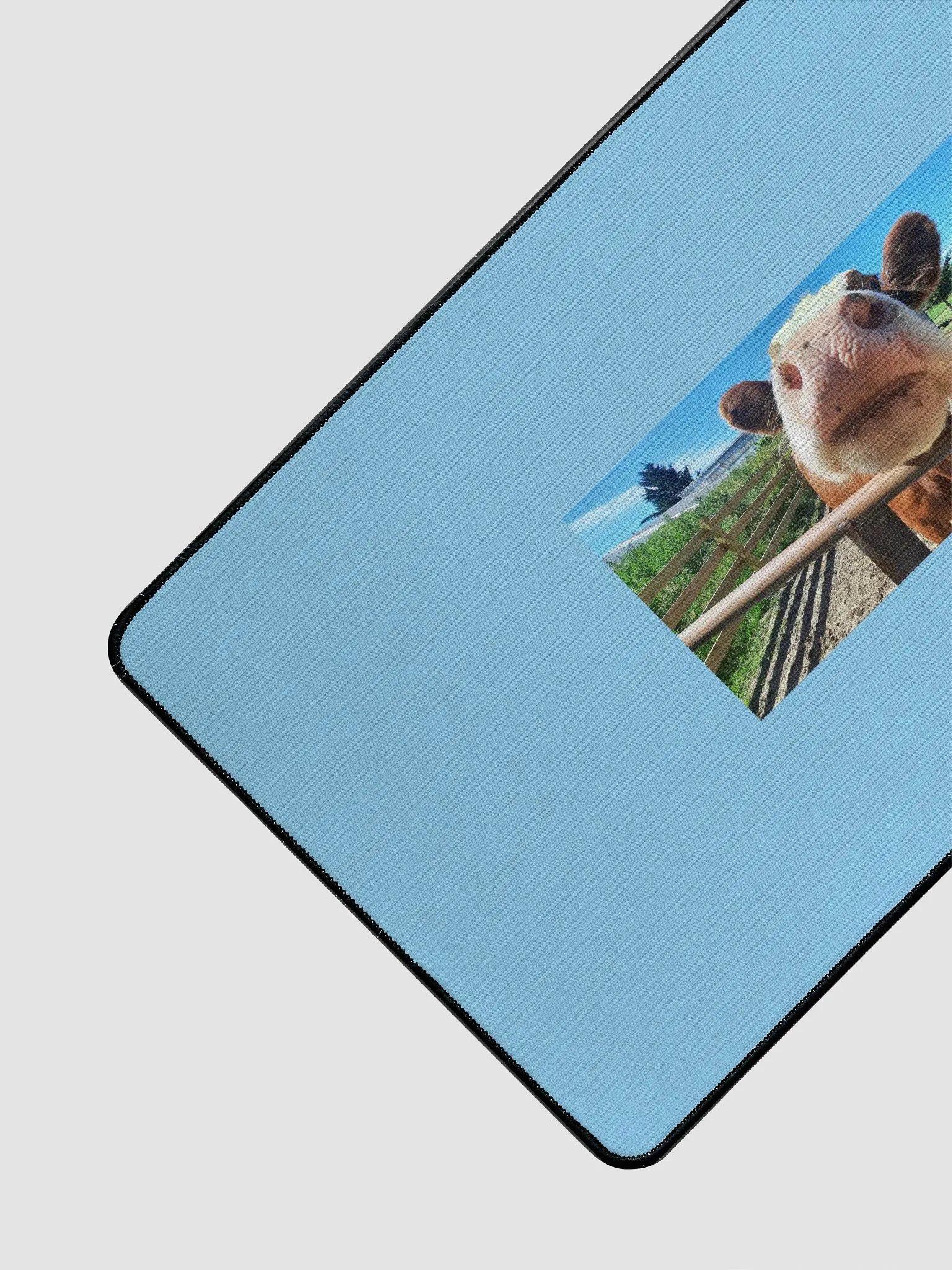 Nosey Computer Mat product image (3)