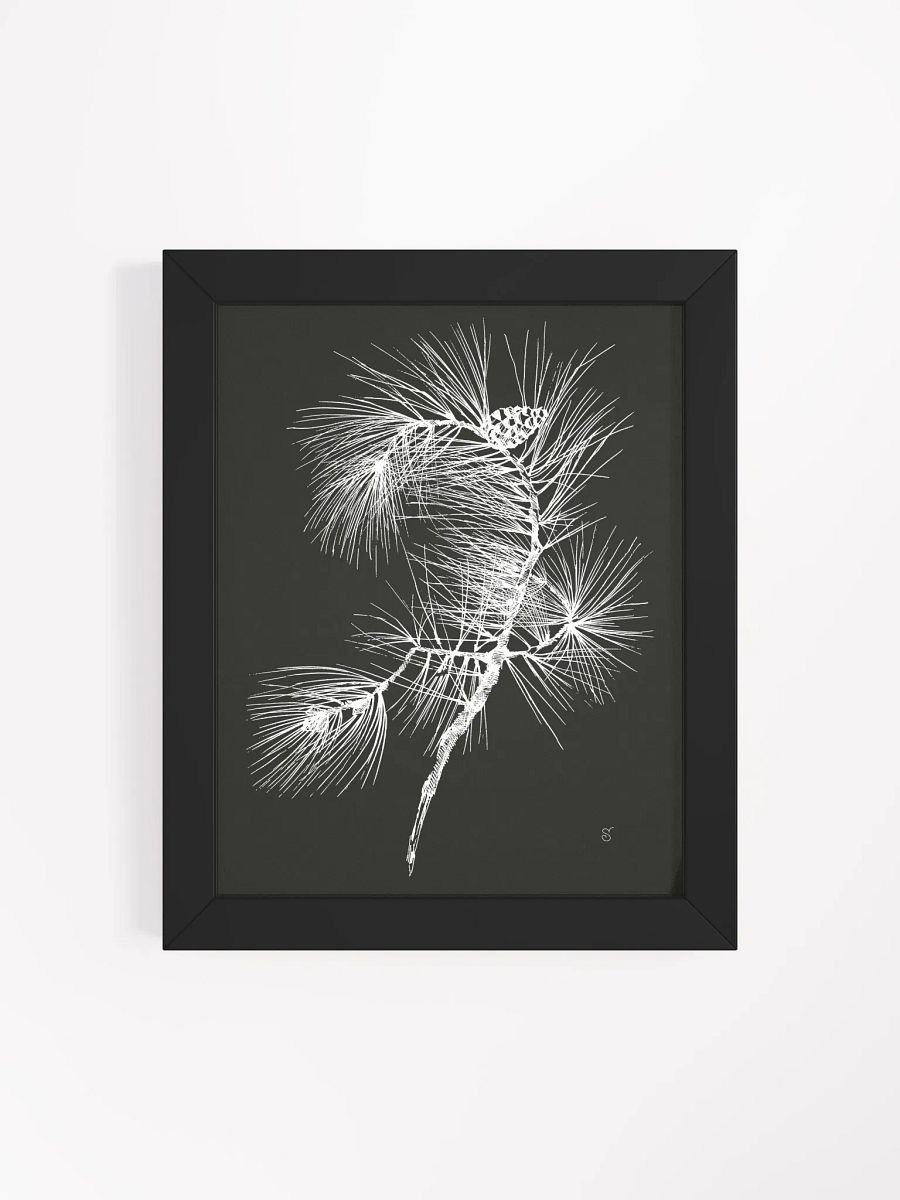 Botanical Elegance: Pine Branch Poster - Pine Branch Dark product image (48)