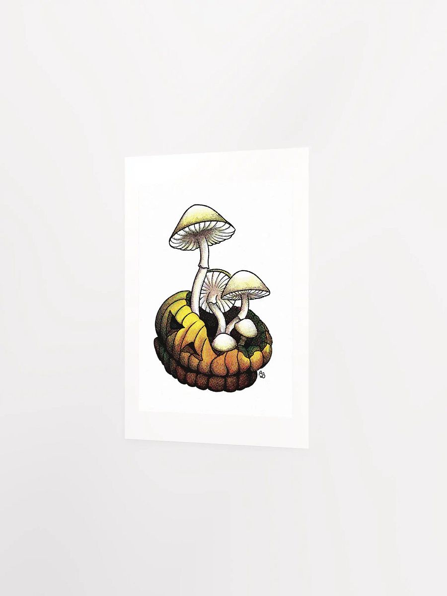 Mushroom product image (4)