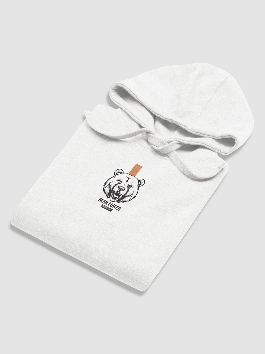 Bear Power Illustrated Hoodie product image (6)