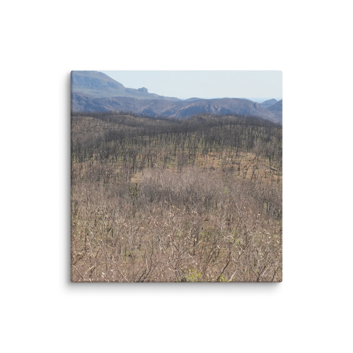 Historic Coonabarabran NSW Fire Canvas product image (1)