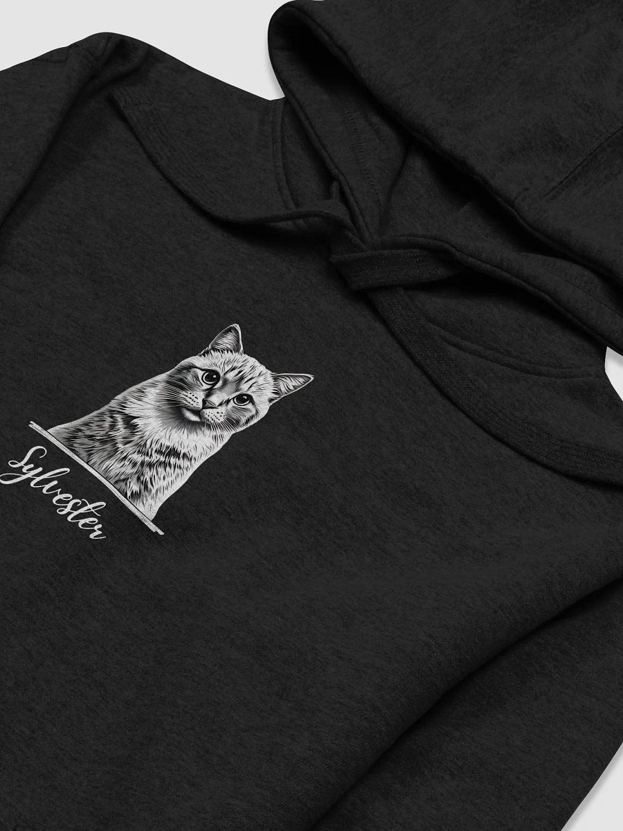 SYLVESTER 💙 / PRINTED HOODIE product image (5)