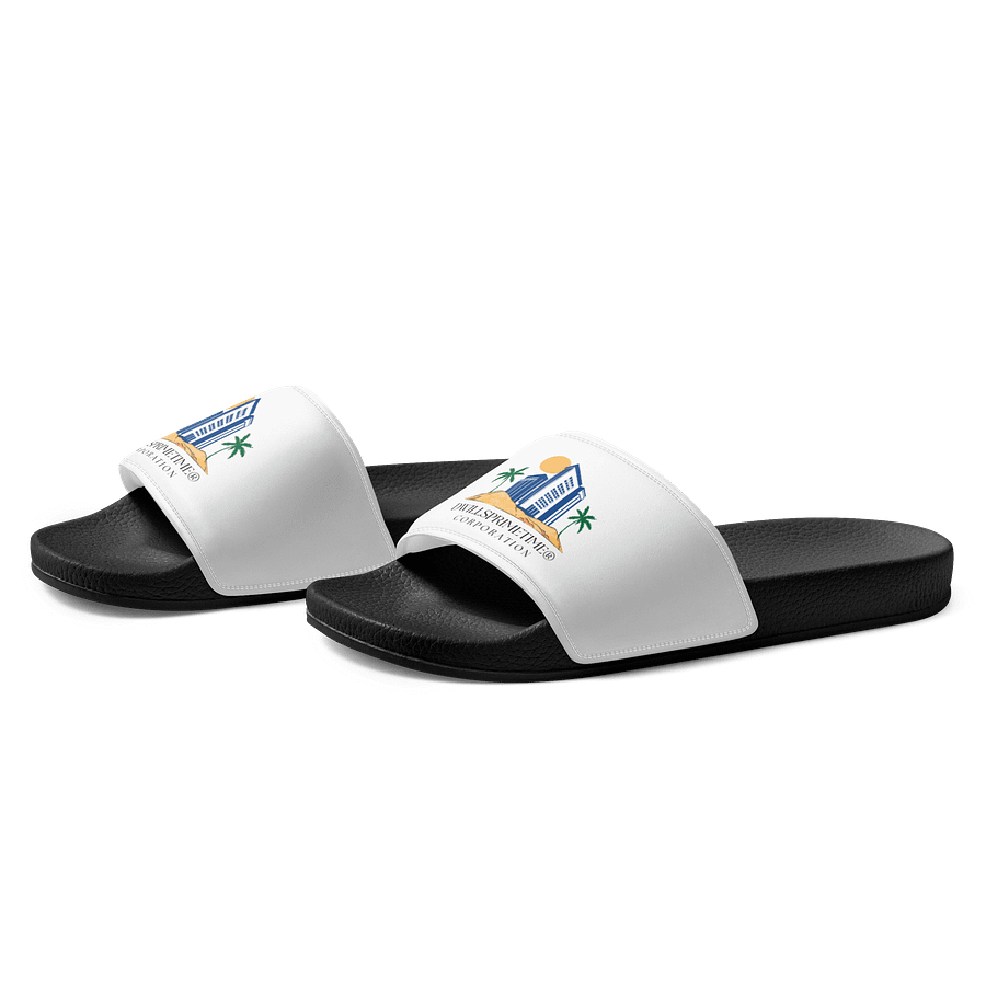 Dwillsprimetime Corporation Men's Slides product image (2)