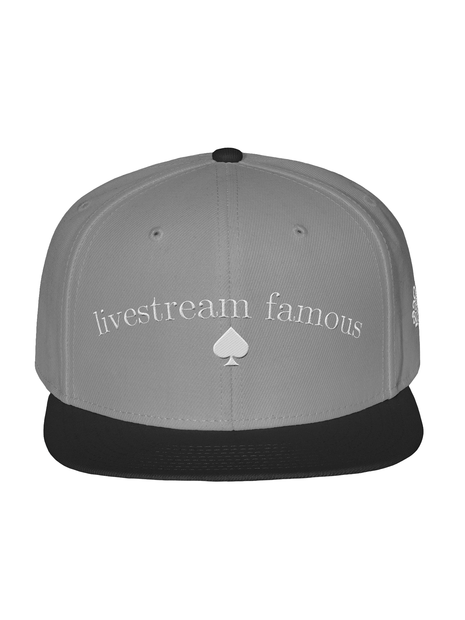 Livestream Famous Flatbill Hat product image (3)
