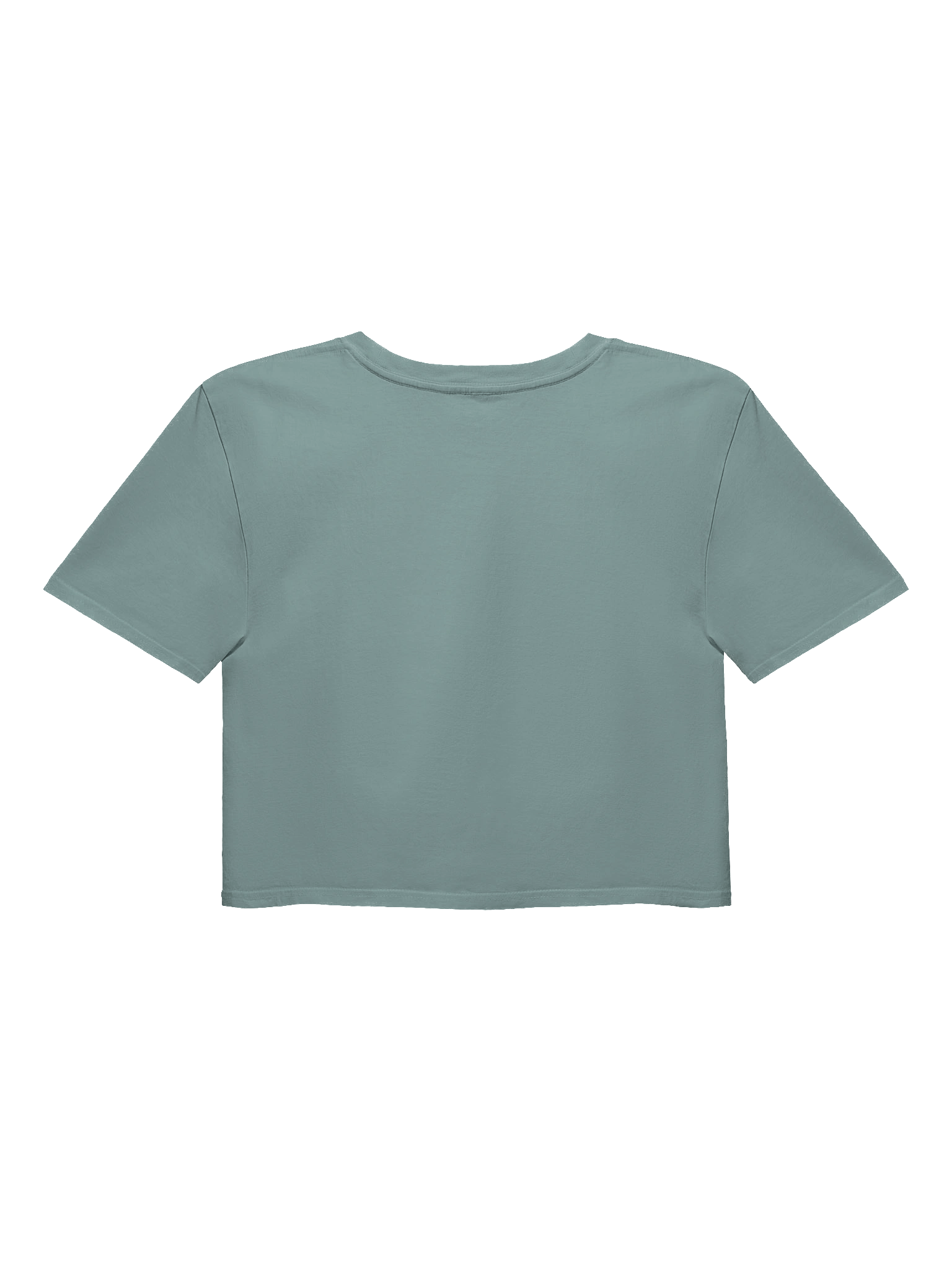 Cat Lover Women's Crop Top product image (2)