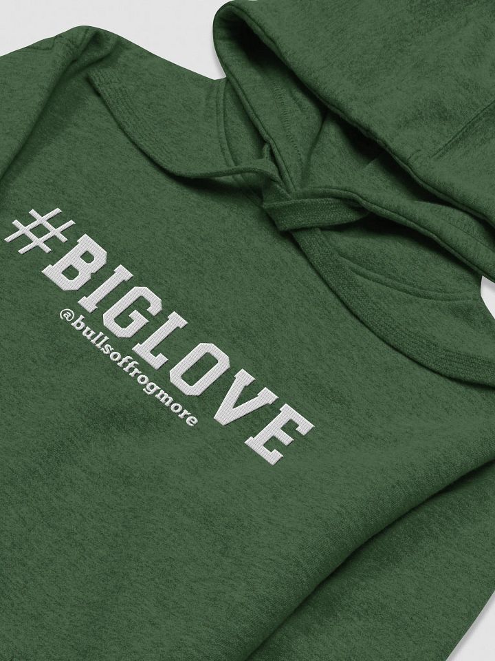 Big Love Hoodie product image (1)
