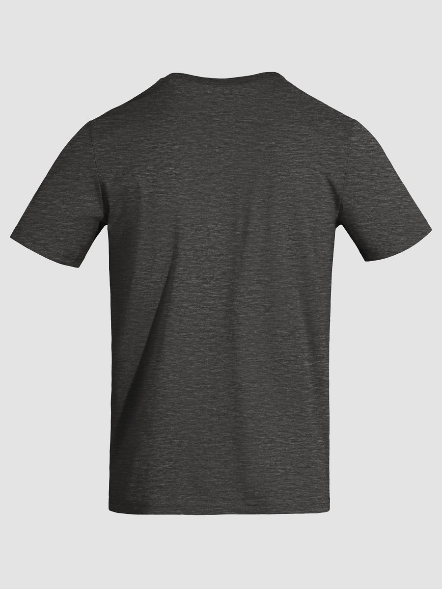 Healthy Wealthy Vegetarian & Vegan Tee product image (5)