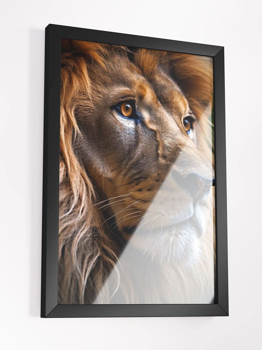 Lion - Poster product image (3)