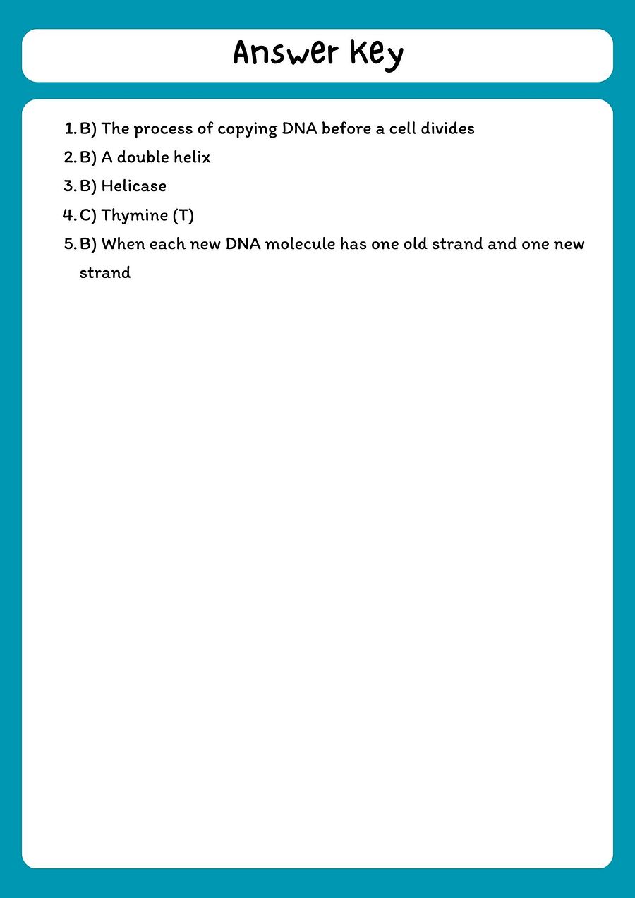DNA Replication Reading Comprehension Passage & Questions product image (3)