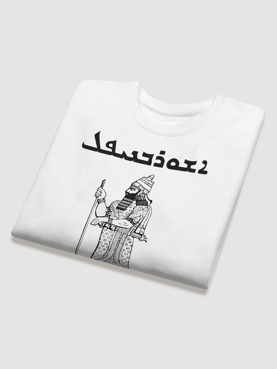 Ashurbanipal - The King of Ashur product image (4)